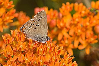 《死亡搁浅2》主线剧情可能需要75个小时