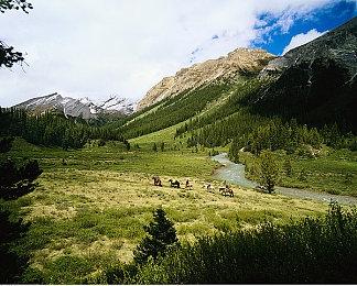 独立游戏《重装燎原》Steam平台12月4日正式发行：爽快轻度的Roguelite射击体验